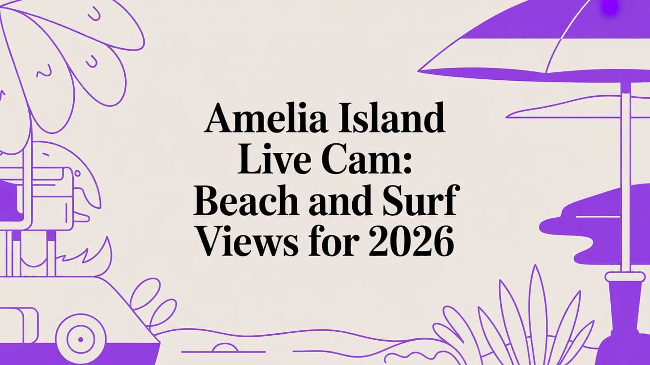Amelia Island Live Cam: Beach and Surf Views for 2026 illustration